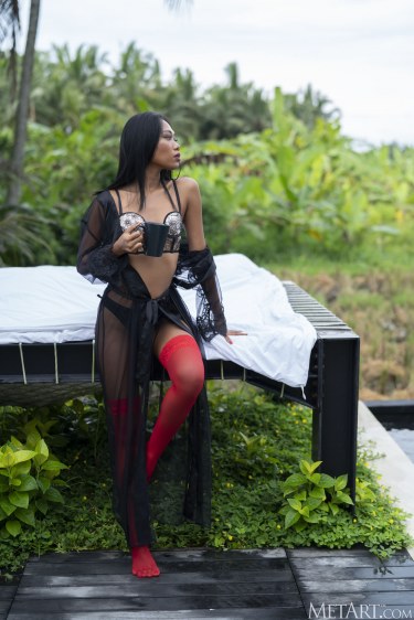 Sheeiziss In Red Wine 1