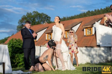 Releasing Wedding Hound 3