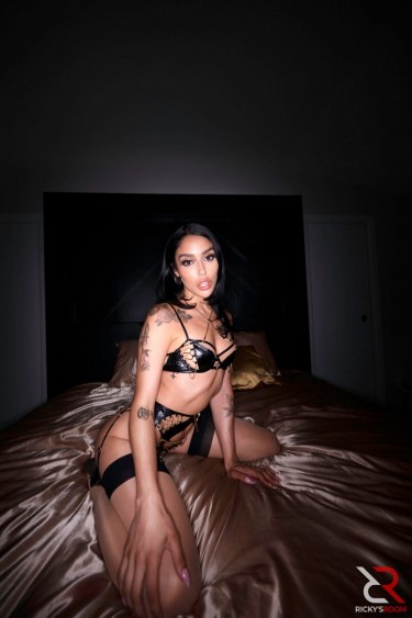 Two Cocks In The Sky 2